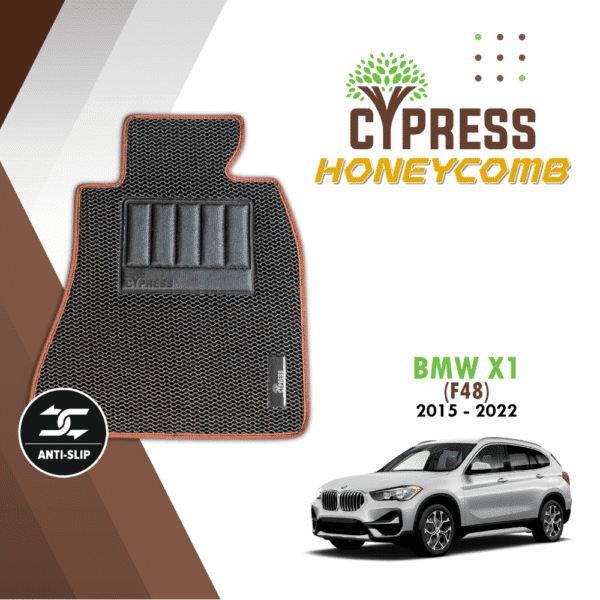 BMW X1 F48 (Honeycomb)