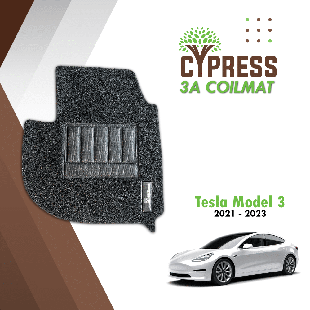 Tesla Model 3 (3A)