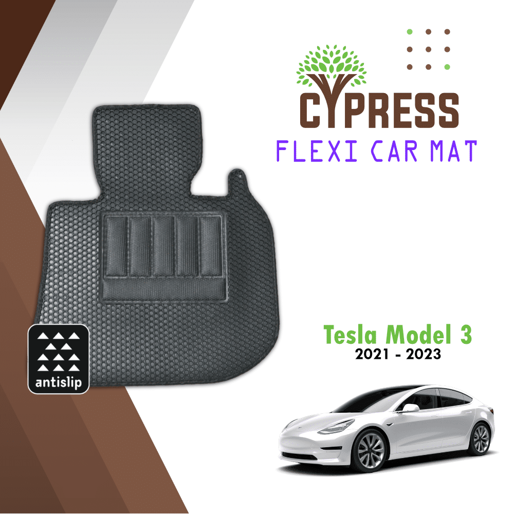 Tesla Model 3 (Flexi)